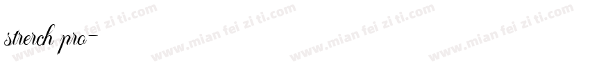 strerch pro字体转换